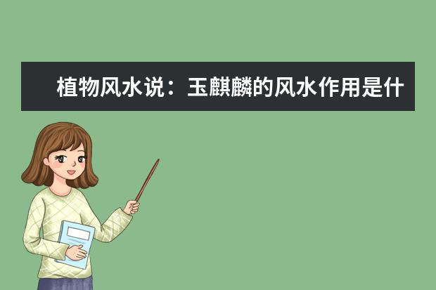 植物风水说:玉麒麟的风水作用是什么?