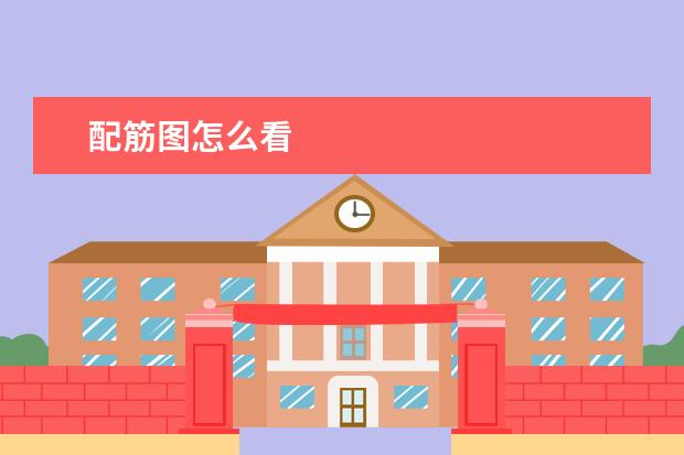 配筋图怎么看
