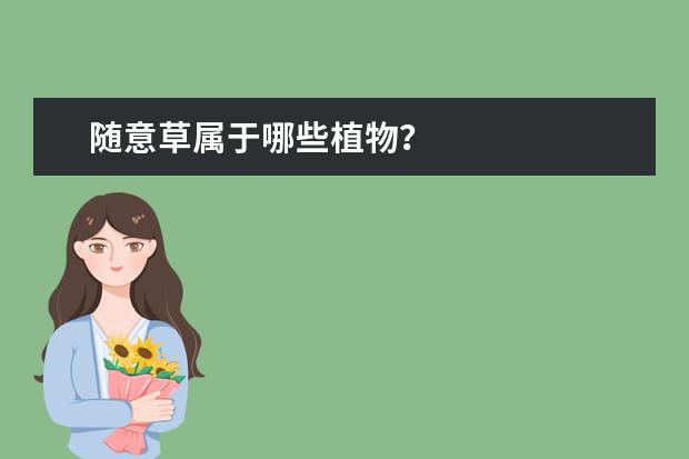 随意草属于哪些植物?