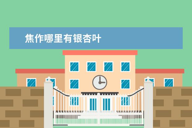 焦作哪里有银杏叶