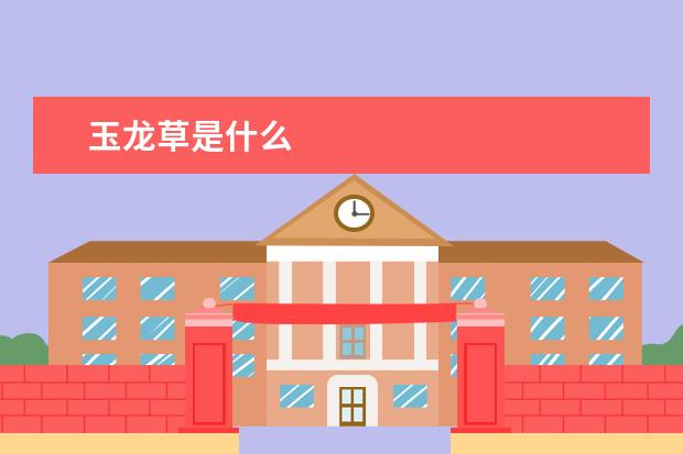 玉龙草是什么
