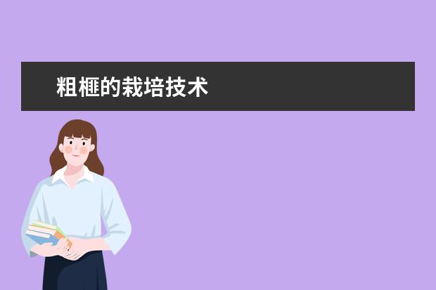 粗榧的栽培技术