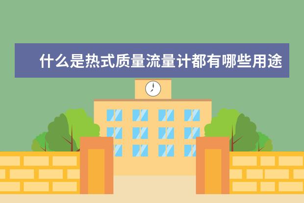 什么是热式质量流量计都有哪些用途?