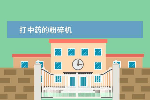 打中药的粉碎机