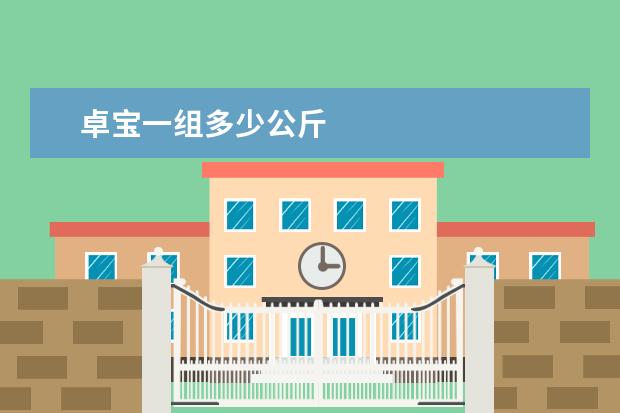 卓宝一组多少公斤