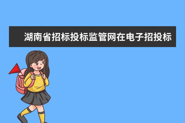 湖南省招标投标监管网在电子招投标系统中属于什么平台,