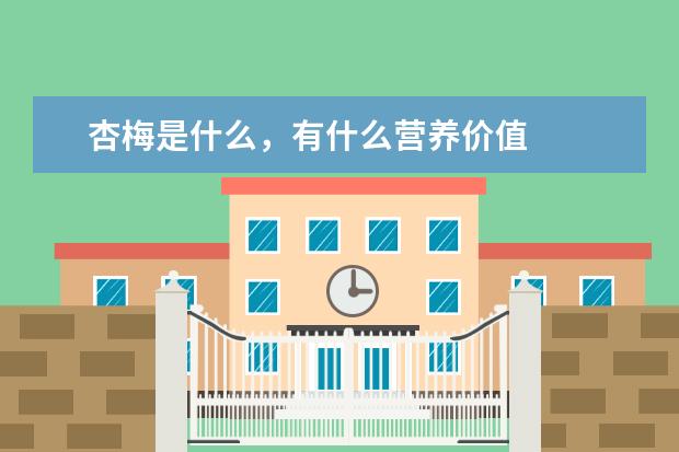 杏梅是什么,有什么营养价值