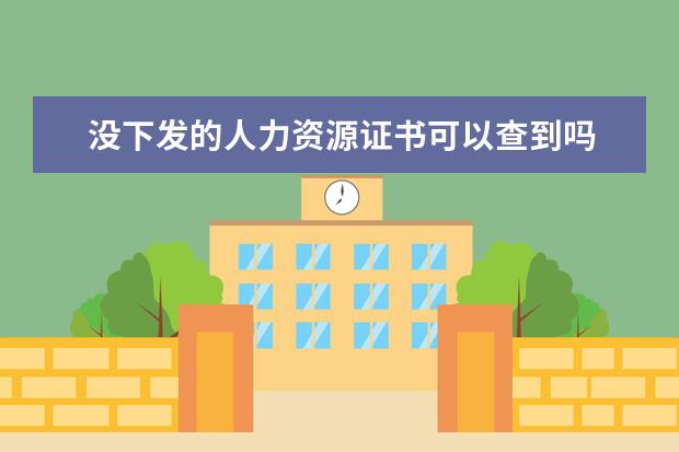没下发的人力资源证书可以查到吗