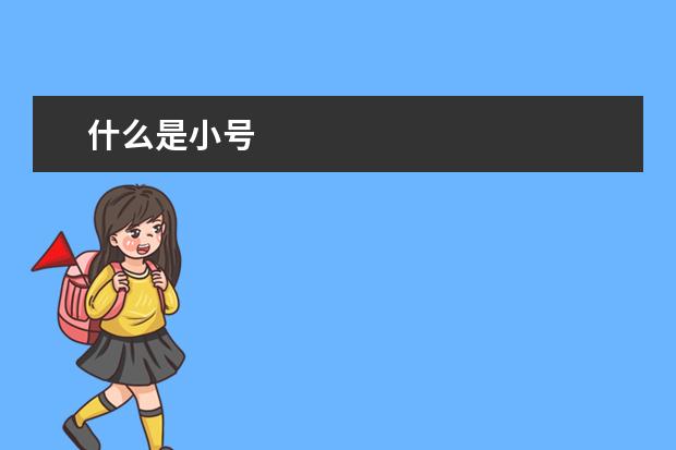 什么是小号