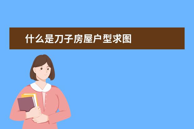 什么是刀子房屋户型求图
