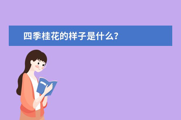 四季桂花的样子是什么？