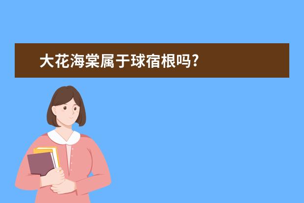 大花海棠属于球宿根吗?