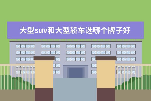 大型suv和大型轿车选哪个牌子好 大型SUV动力与轿车比怎么样?