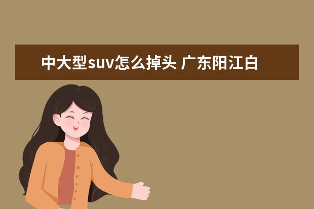 中大型suv怎么掉头 广东阳江白沙考场1挡有距离吗