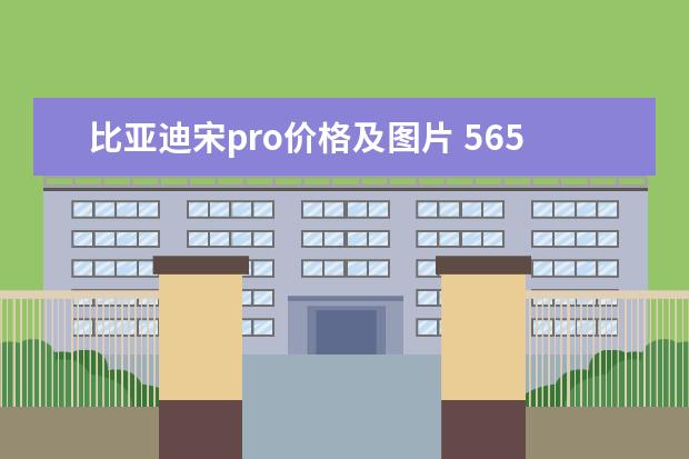 比亚迪宋pro价格及图片 565km的最远续航见过没