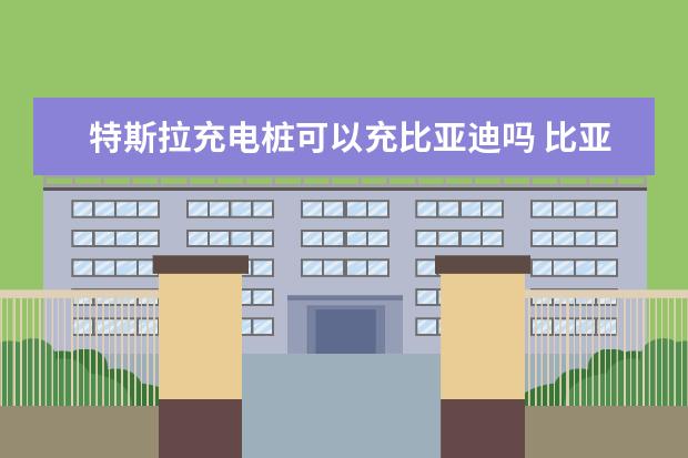 特斯拉充电桩可以充比亚迪吗 比亚迪海豹新能源汽车报价