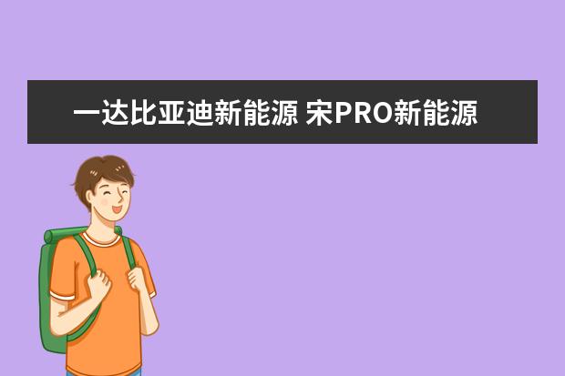 一达比亚迪新能源 宋PRO新能源全款落地14.59万