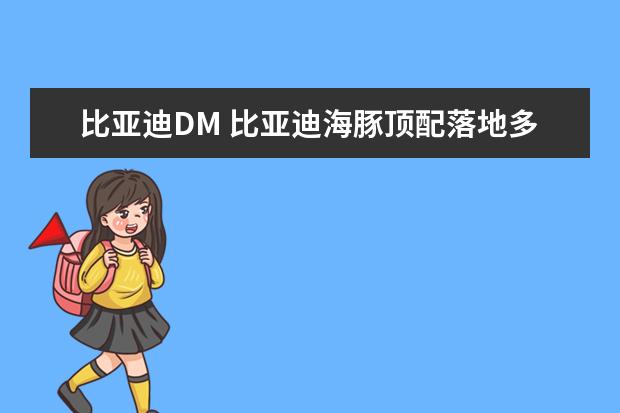 比亚迪DM 比亚迪海豚顶配落地多少钱(大概12.84万元)