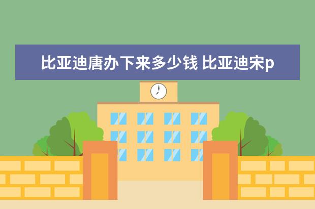 比亚迪唐办下来多少钱 比亚迪宋pro售价款