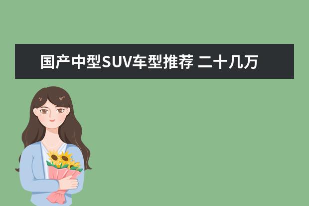 国产中型SUV车型推荐 二十几万的车哪款好