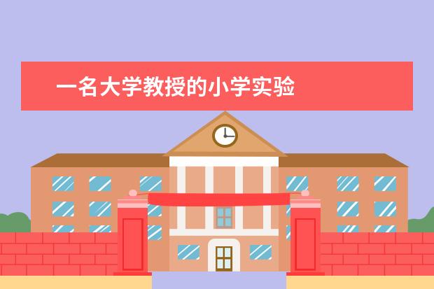 一名大学教授的小学实验