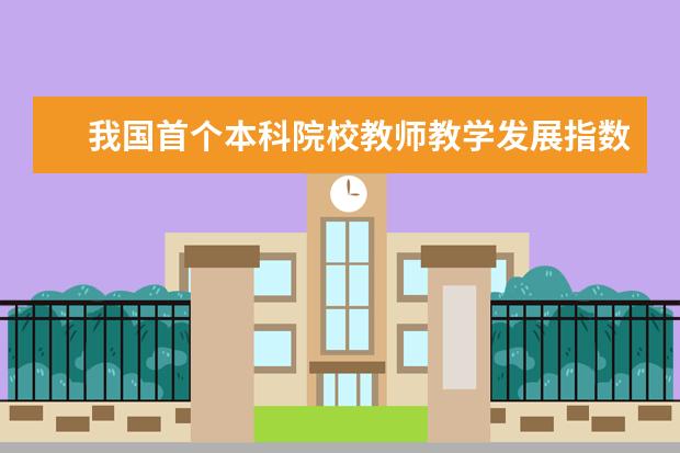 我国首个本科院校教师教学发展指数预发布