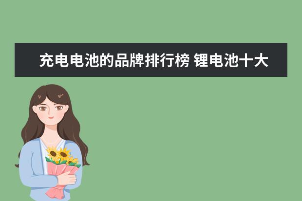 充电电池的品牌排行榜 锂电池十大名牌排名