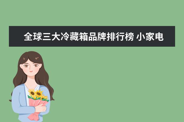全球三大冷藏箱品牌排行榜 小家电品牌排行榜 十大品牌必看!