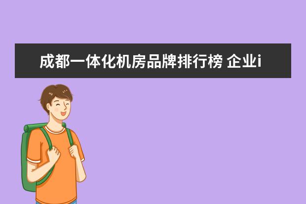 成都一体化机房品牌排行榜 企业it服务外包可以有哪些?