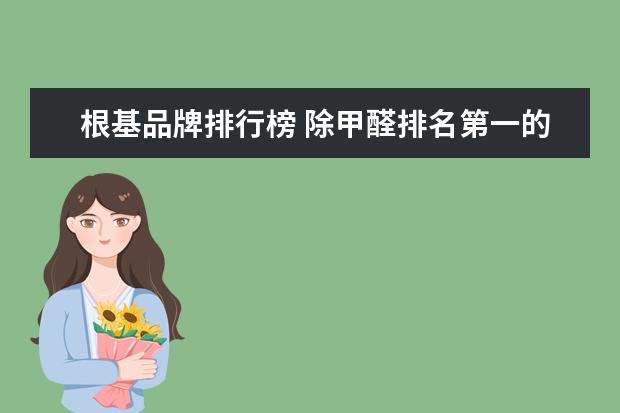 根基品牌排行榜 除甲醛排名第一的品牌