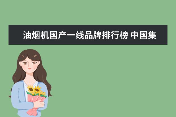 油烟机国产一线品牌排行榜 中国集成灶十大品牌有哪些?