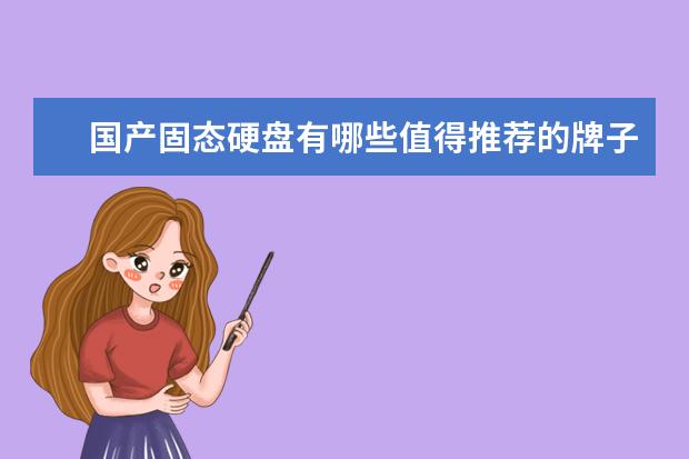 国产固态硬盘有哪些值得推荐的牌子?