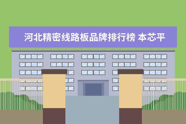 河北精密线路板品牌排行榜 本芯平板电脑哪里产的