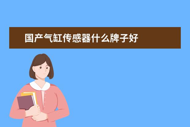 国产气缸传感器什么牌子好