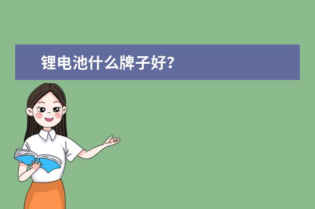 锂电池什么牌子好?