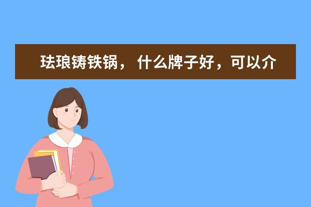 珐琅铸铁锅, 什么牌子好,可以介绍下吗?