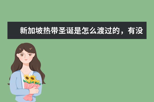 新加坡热带圣诞是怎么渡过的,有没有什么历史渊源?