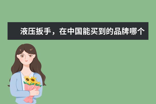 液压扳手,在中国能买到的品牌哪个最好?