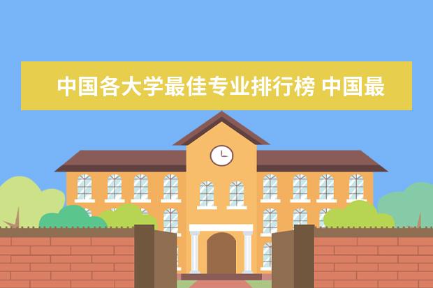 中国各大学最佳专业排行榜 中国最好学科排名