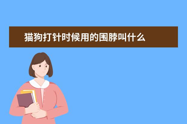 猫狗打针时候用的围脖叫什么