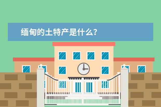 缅甸的土特产是什么？