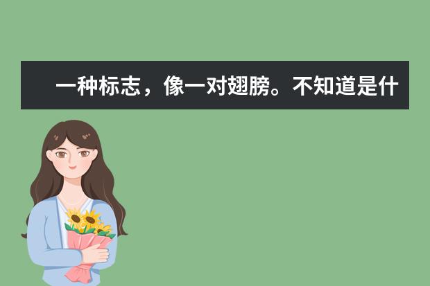 一种标志,像一对翅膀。不知道是什么运动牌子的