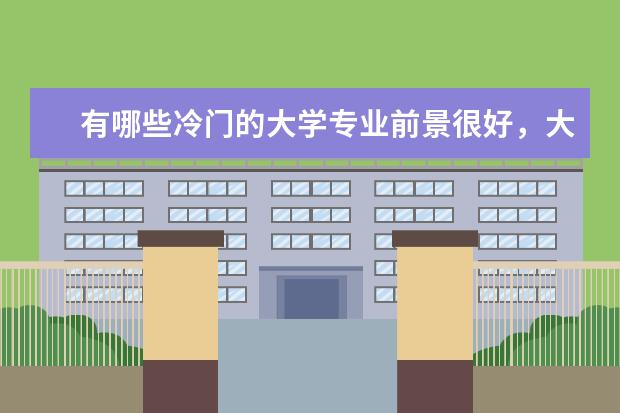 有哪些冷门的大学专业前景很好,大学期间轻松,毕业后易拿高薪?