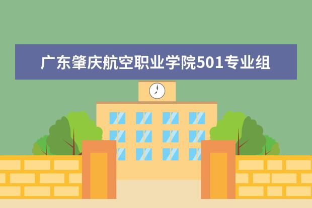 广东肇庆航空职业学院501专业组有什么专业