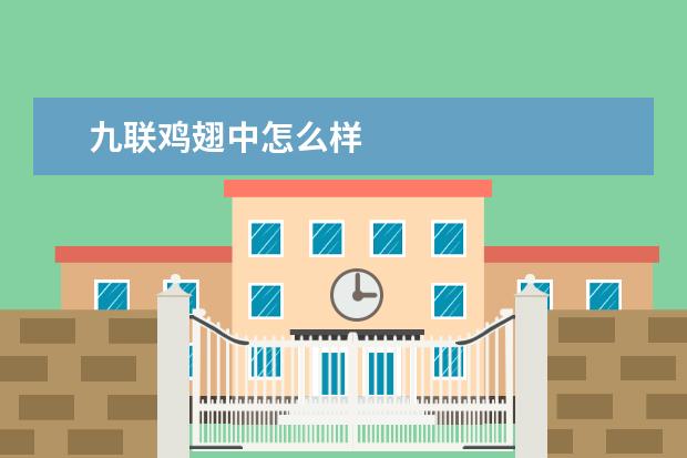 九联鸡翅中怎么样