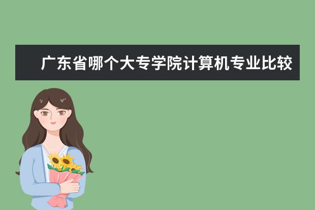 广东省哪个大专学院计算机专业比较好的?