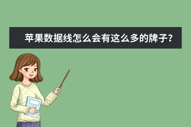 苹果数据线怎么会有这么多的牌子?比如品胜什么,能用吗?京东上会不会有假货?