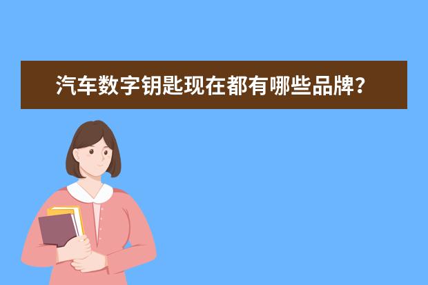 汽车数字钥匙现在都有哪些品牌?
