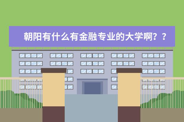 朝阳有什么有金融专业的大学啊？？