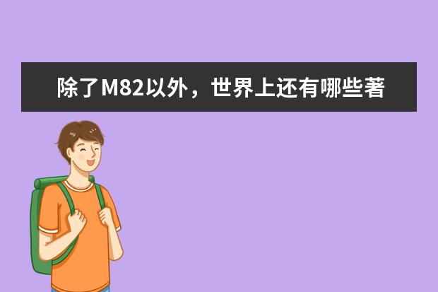 除了M82以外，世界上还有哪些著名的反器材狙击部枪？越多越好。